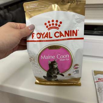 Корм для котят Royal Canin 400г Maine Coon породы мейн-кун: отзыв пользователя. Зоомагазин Зоозавр