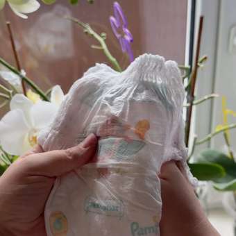 Трусики Pampers Pants Сказочные 6 (15+ кг) 27 шт.: отзыв пользователя Детский Мир
