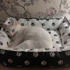 Фото отзыва 10858487