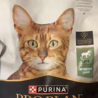 Корм сухой для кошек PRO PLAN 1.5кг с ягненком с чувствительным пищеварением: отзыв пользователя. Зоомагазин Зоозавр