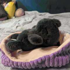 Фото отзыва 11017150