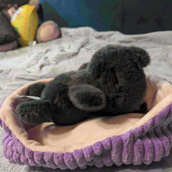 Мягкая игрушка Balori Кот в корзинке: отзыв пользователя Детский Мир