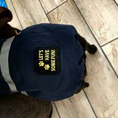 Фото отзыва 10429596