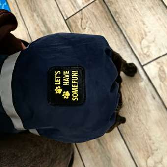 Дождевик-куртка для собак Зоозавр темно-синяя 45: отзыв пользователя. Зоомагазин Зоозавр