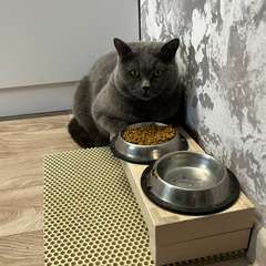 Фото отзыва 10705439