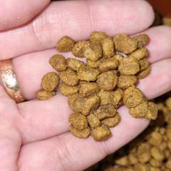 Фото отзыва 10653803