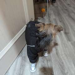 Фото отзыва 10649828