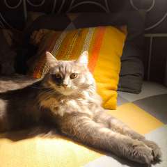 Фото отзыва 11068386