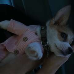 Фото отзыва 10704698