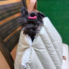 Фото отзыва 10573014