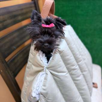 Сумка для животных с мехом Barbaks 50*30*35см: отзыв пользователя. Зоомагазин Зоозавр