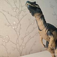 Фото отзыва 11117555