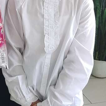 Блузка Chessford: отзыв пользователя Детский Мир