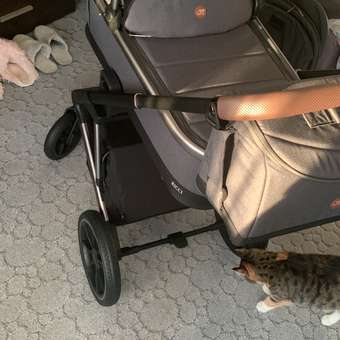 Коляска 2 в 1 Sweet Baby: отзыв пользователя Детский Мир
