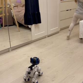 Собака РУ 1TOY Дружок: отзыв пользователя Детский Мир