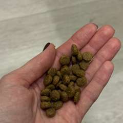 Фото отзыва 10571465