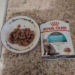 Фото отзыва 10975415