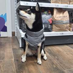 Фото отзыва 10430952