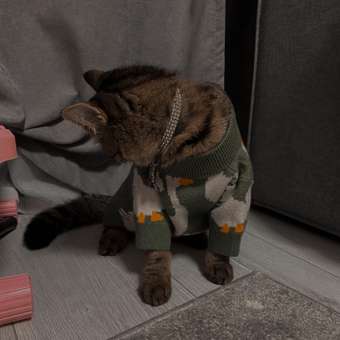 Джемпер для собак и кошек Зоозавр: отзыв пользователя. Зоомагазин Зоозавр