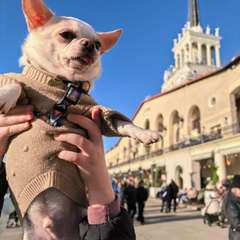 Фото отзыва 10855396