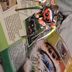 Фото отзыва 3646305