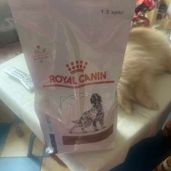 Корм для собак ROYAL CANIN Hepatic HF16 при заболеваниях печени 1.5кг: отзыв пользователя. Зоомагазин Зоозавр