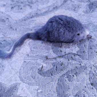 Игрушка для кошек Triol Мышка серая 6.5-7.5см 3шт: отзыв пользователя. Зоомагазин Зоозавр