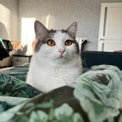 Фото отзыва 10754817