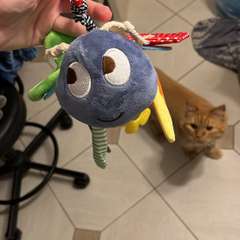 Фото отзыва 5143099