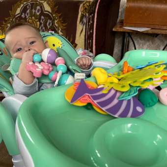 Стульчик для кормления Babyton Animals Green классический: отзыв пользователя ДетМир