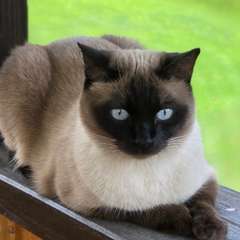 Фото отзыва 11005045