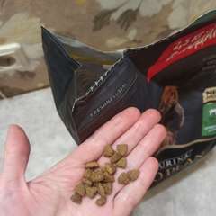 Фото отзыва 10585751