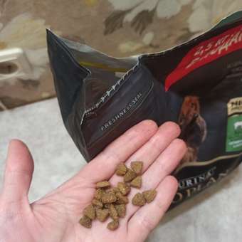 Корм для собак PRO PLAN Optidegest мелких и карликовых пород с чувствительным пищеварением ягненок-рис 2.5кг+500г 67208: отзыв пользователя. Зоомагазин Зоозавр