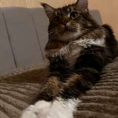 Фото отзыва 10590538