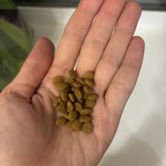 Фото отзыва 10302644