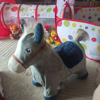 Фитбол BabyGo: отзыв пользователя Детский Мир