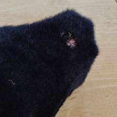 Фото отзыва 11120585