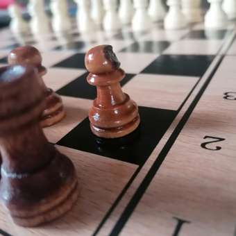 Настольная игра Рыжий кот Шахматы: отзыв пользователя Детский Мир