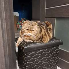 Фото отзыва 10756715