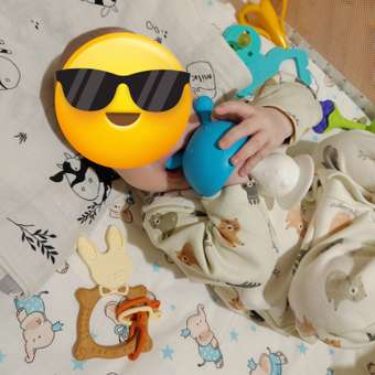 Прорезыватель Baby Code грибочек банан виноград: отзыв пользователя Детский Мир
