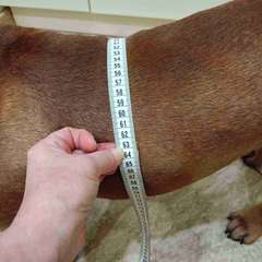 Фото отзыва 8273608