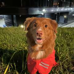 Фото отзыва 4834422