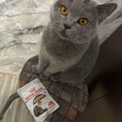 Фото отзыва 11042948