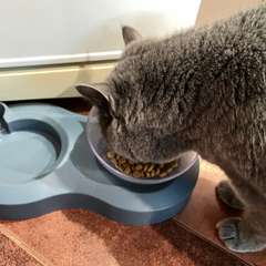 Фото отзыва 10522927