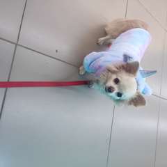 Фото отзыва 10757712