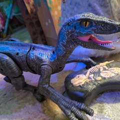 Фото отзыва 10838287