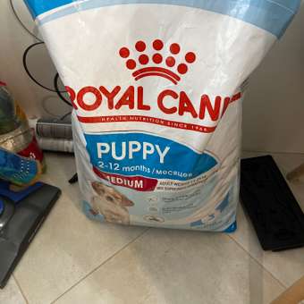 Корм для щенков ROYAL CANIN Medium Puppy средних пород 14кг: отзыв пользователя. Зоомагазин Зоозавр