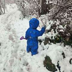 Фото отзыва 10648542