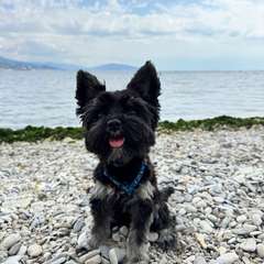 Фото отзыва 10613220