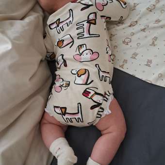 Боди 2 шт YOULALA: отзыв пользователя Детский Мир